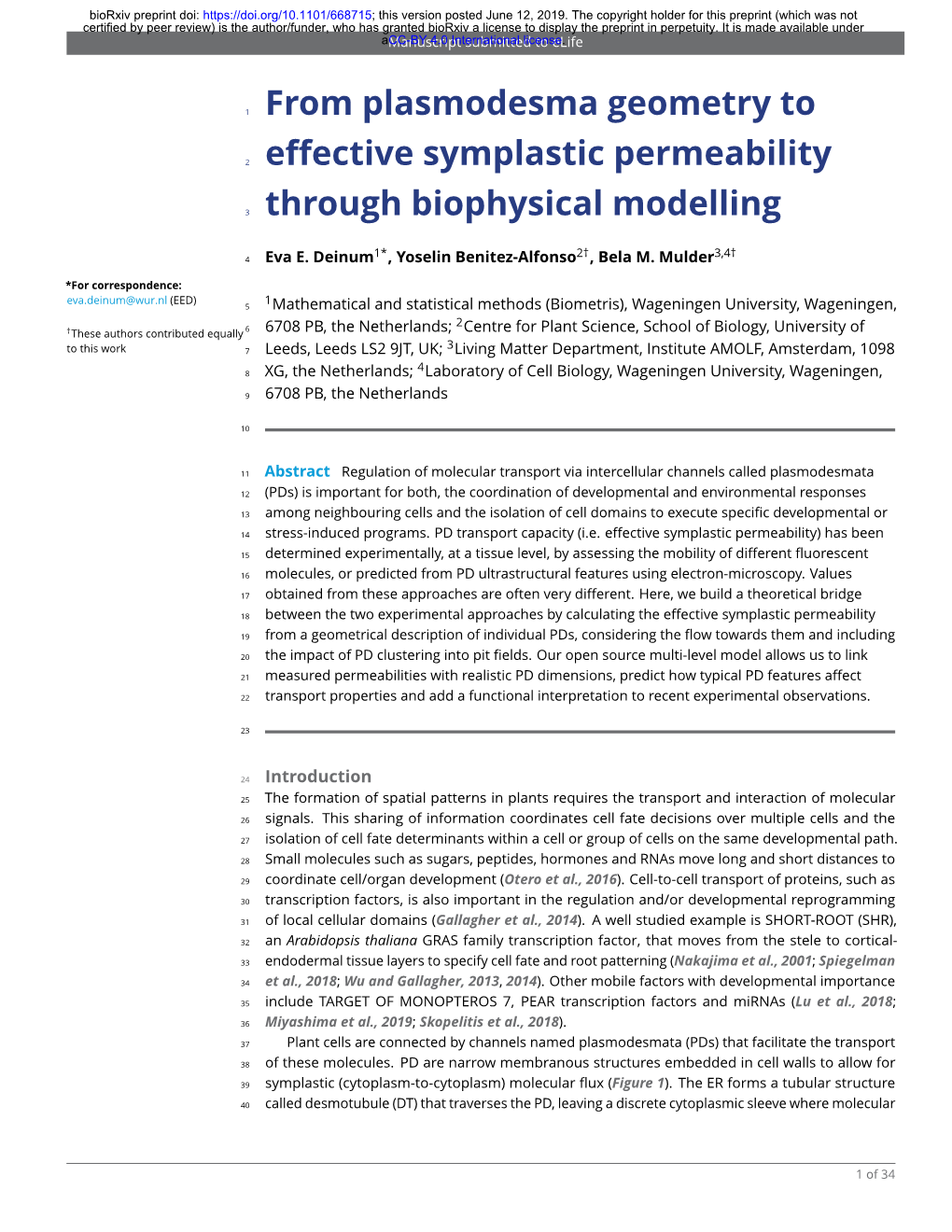 From Plasmodesma Geometry to Effective Symplastic Permeability