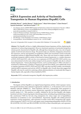 Mrna Expression and Activity of Nucleoside Transporters in Human Hepatoma Heparg Cells