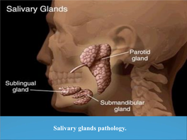 Salivary Glands Pathology. Salivary Glands Pathology