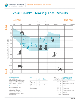 PE1214 Your Child's Hearing Test Results