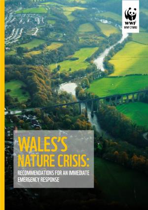 Wales's Nature Crisis