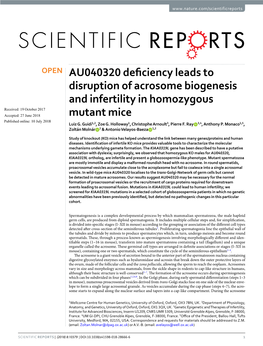 AU040320 Deficiency Leads to Disruption of Acrosome Biogenesis