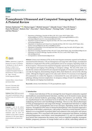 Pyonephrosis Ultrasound and Computed Tomography Features: a Pictorial Review