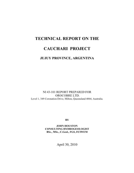 Technical Report on the Cauchari Project