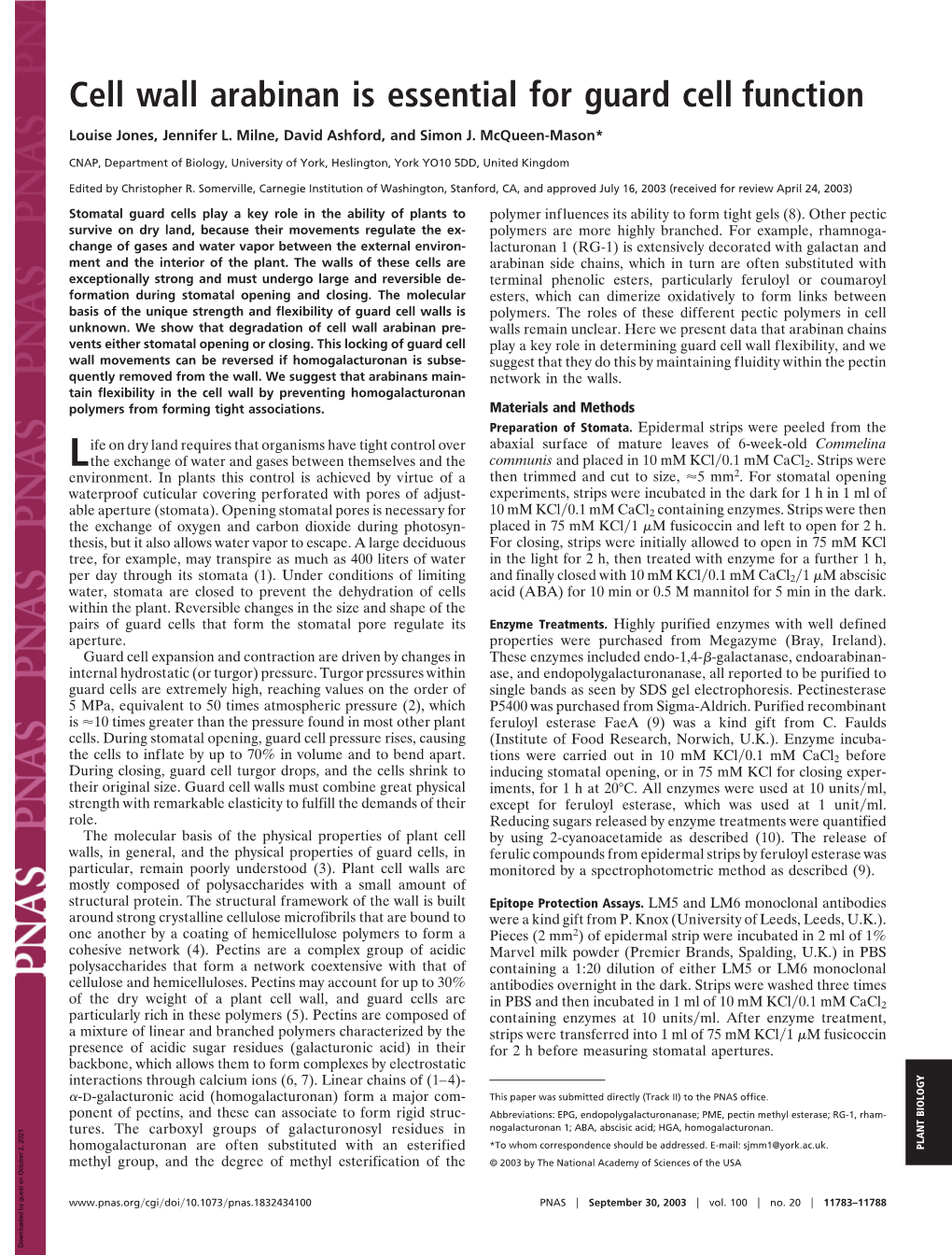 Cell Wall Arabinan Is Essential for Guard Cell Function