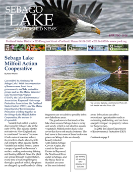 Sebago Lake Milfoil Action Cooperative by Nate Whalen