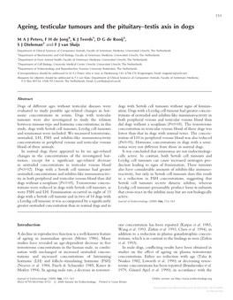 Ageing, Testicular Tumours and the Pituitary–Testis Axis in Dogs