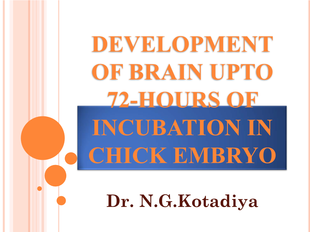 Development Of Brain Upto 72 Hours Of Incubation In Chick Embryo Docslib