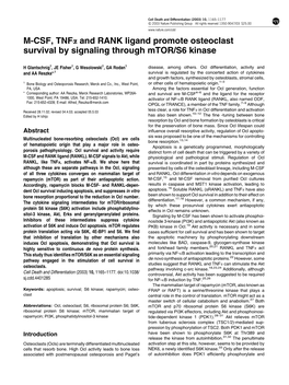 M-CSF, Tnfa and RANK Ligand Promote Osteoclast Survival by Signaling Through Mtor/S6 Kinase