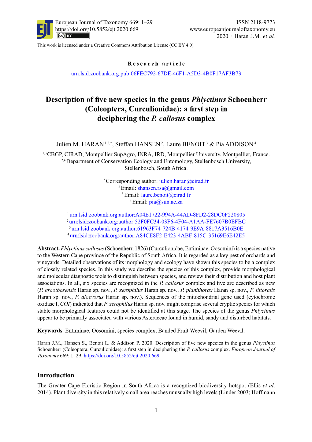 Description of Five New Species in the Genus Phlyctinus Schoenherr (Coleoptera, Curculionidae): a First Step in Deciphering the P