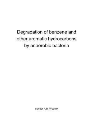 Degradation of Benzene and Other Aromatic Hydrocarbons by Anaerobic Bacteria