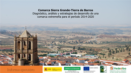 Comarca Sierra Grande-Tierra De Barros Diagnóstico, Análisis Y Estrategias De Desarrollo De Una Comarca Extremeña Para El Período 2014-2020