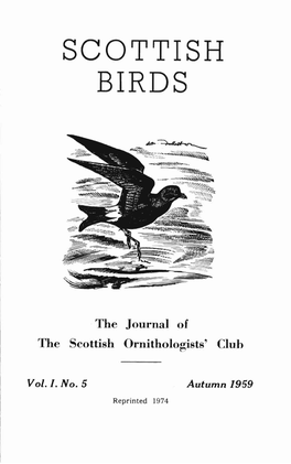 Scottish Birds