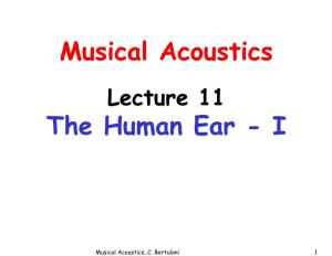 Musical Acoustics the Human