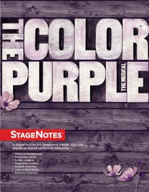 The Color Purple, Novelist