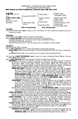 YEARLING, Consigned by Coln Valley Stud the Property of a Partnership Will Stand at Park Paddocks, Solario Barn EE, Box 810
