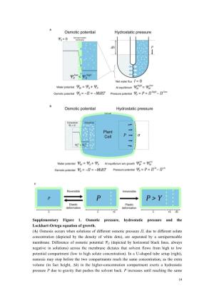 Supplementary Figure 1. Osmotic Pressure, Hydrostatic Pressure and the Lockhart-Ortega Equation of Growth