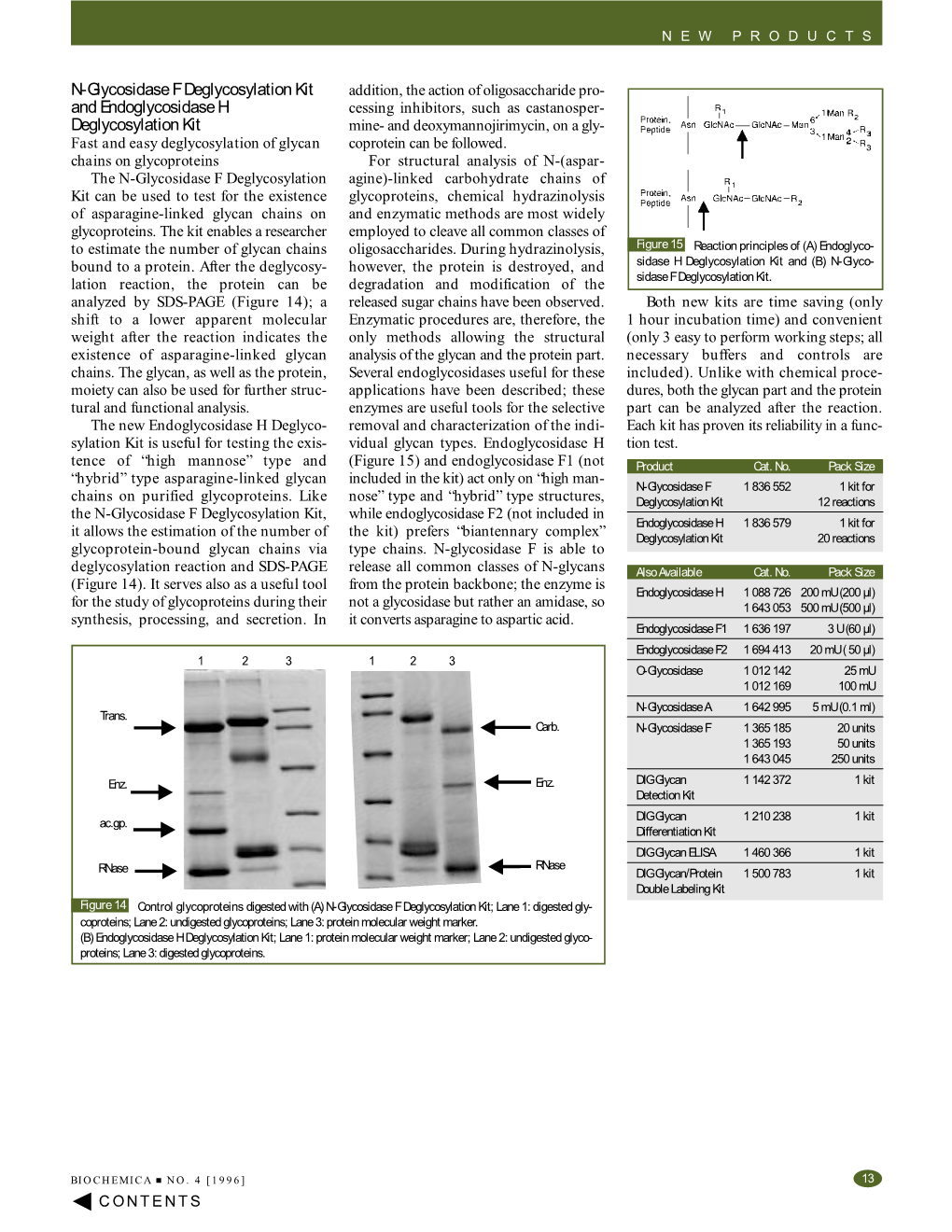 N-Glycosidase F Deglycosylation Kit and Endoglycosidase H