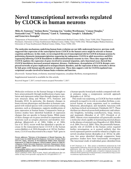 Novel Transcriptional Networks Regulated by CLOCK in Human Neurons