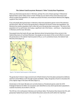 1 the Cabinet-Yaak Ecosystem: Montana's “Other” Grizzly Bear Population When You Think About Grizzly Bears in Montana