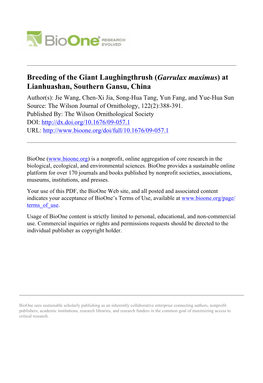 Breeding of the Giant Laughingthrush (Garrulax Maximus) At
