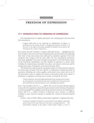 CHAPTER 17 Freedom of Expression