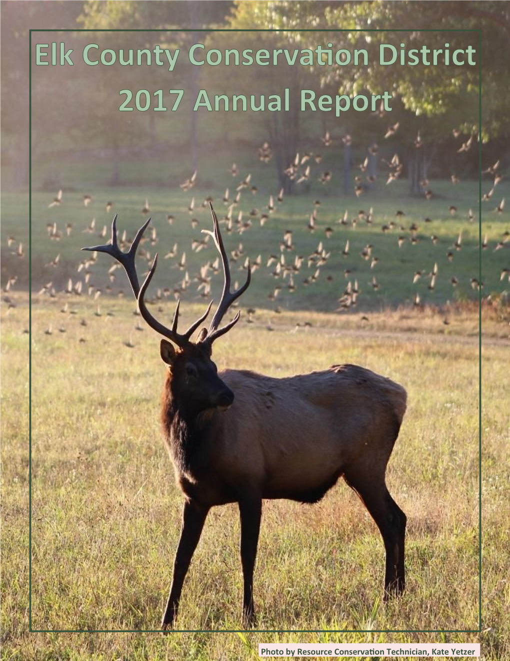 2017 Annual Report