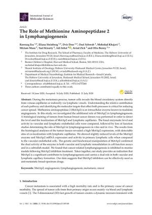 The Role of Methionine Aminopeptidase 2 in Lymphangiogenesis