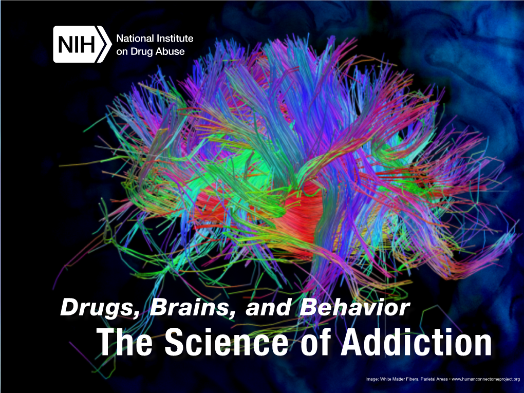 The Science of Addiction