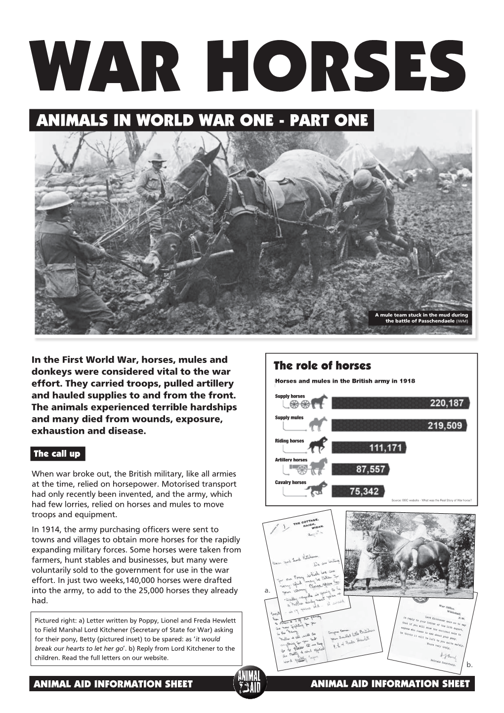 Animals in World War One - Part One