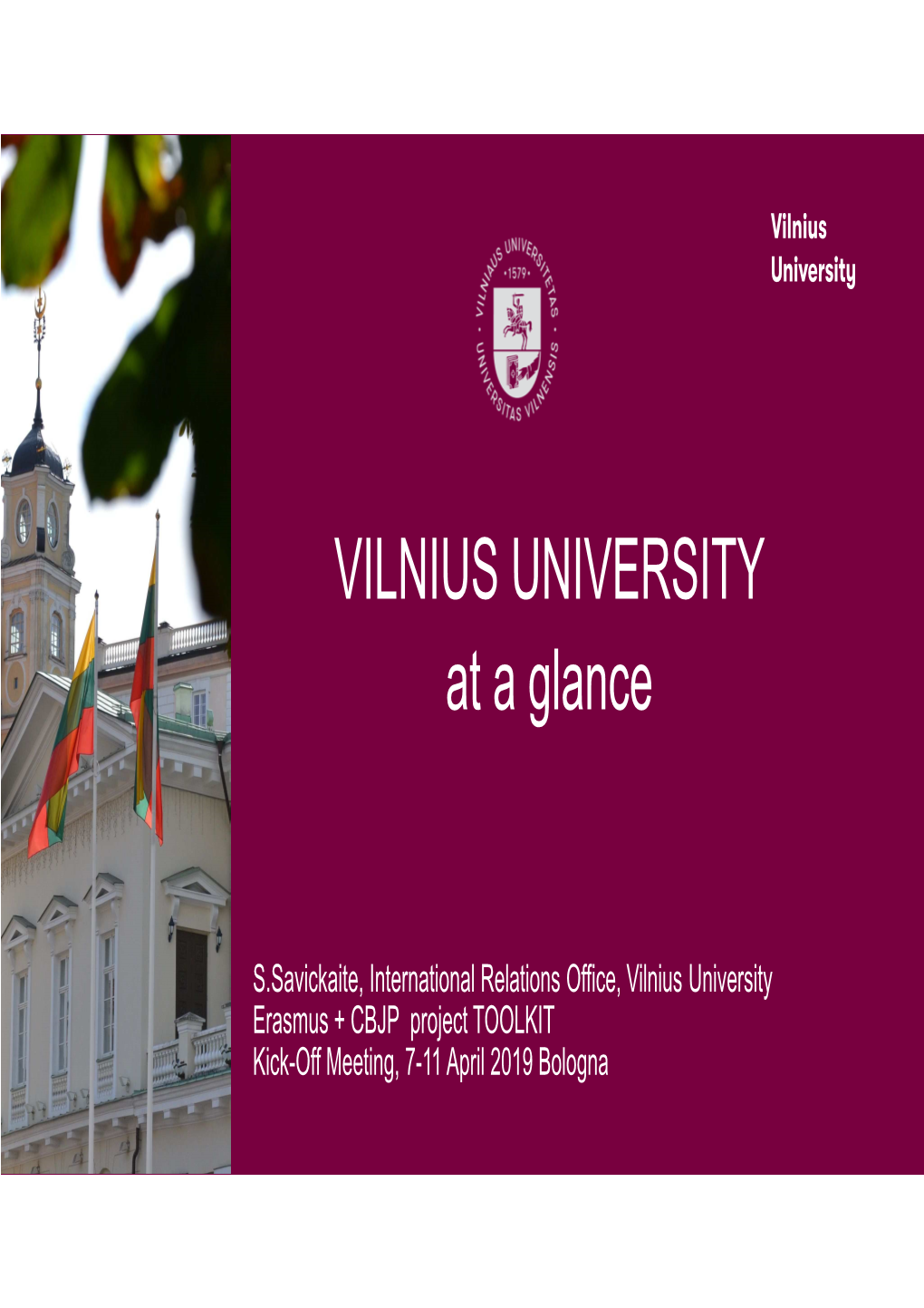 VILNIUS UNIVERSITY at a Glance