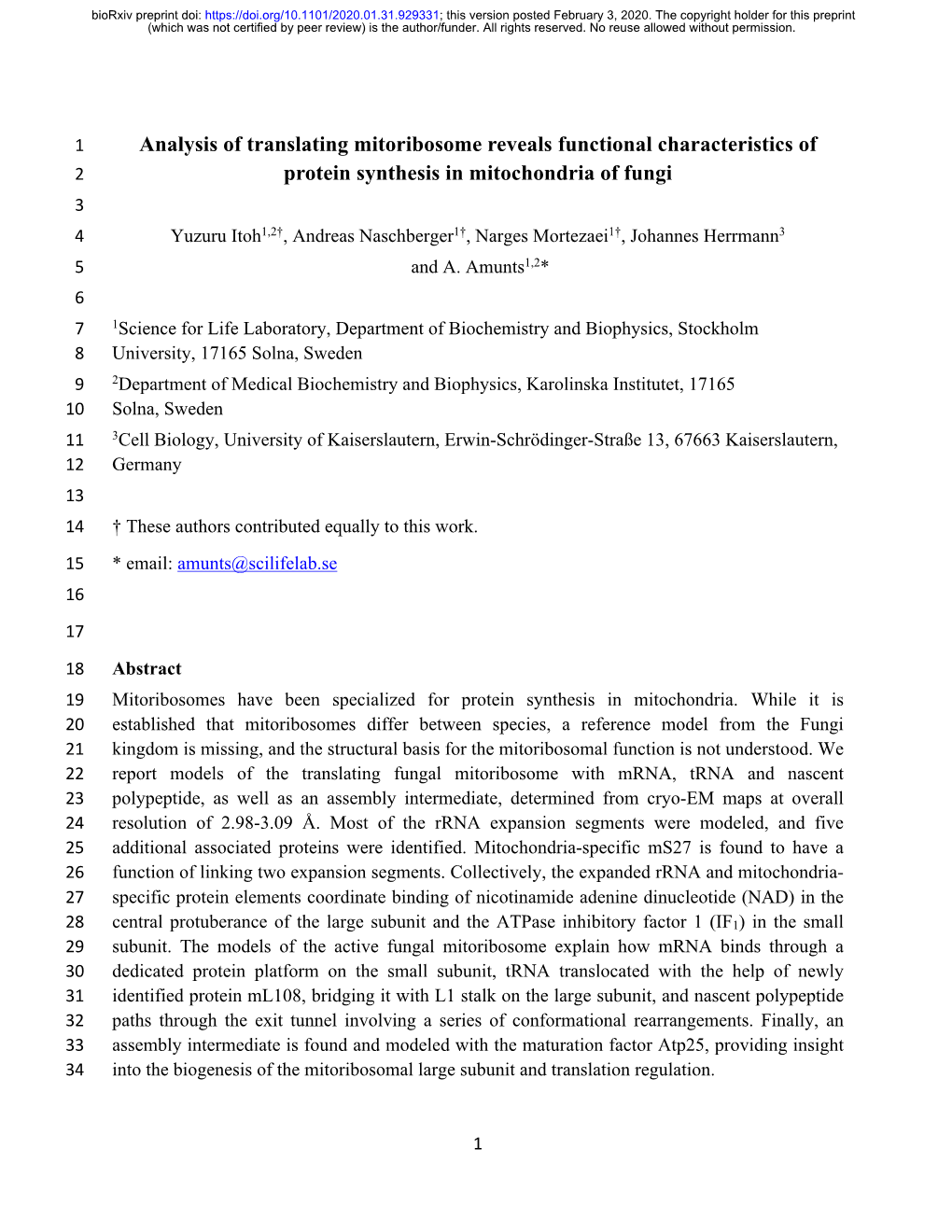 Analysis of Translating Mitoribosome Reveals Functional Characteristics Of