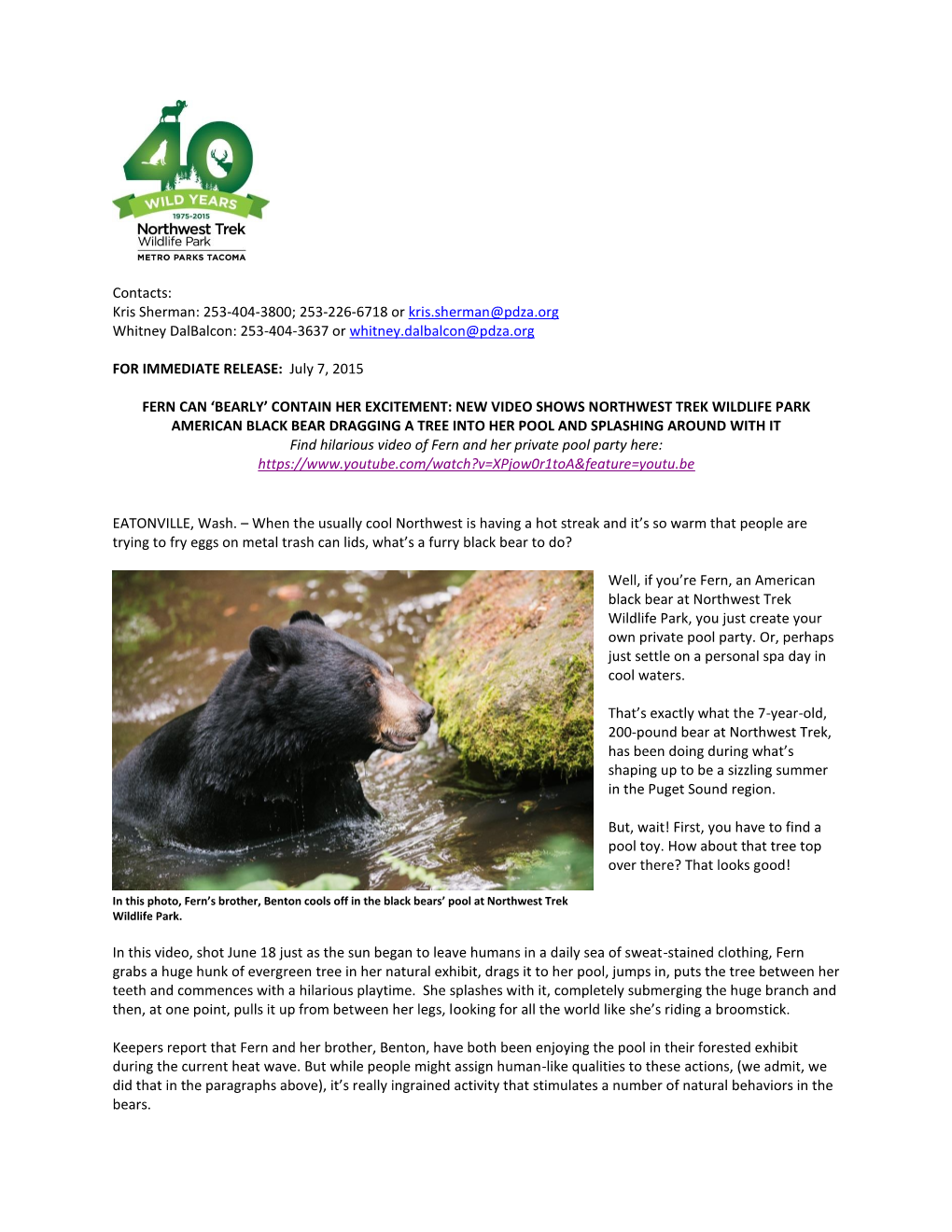 New Video Shows Northwest Trek Wildlife Park American Black Bear Dragging a Tree Into Her Pool