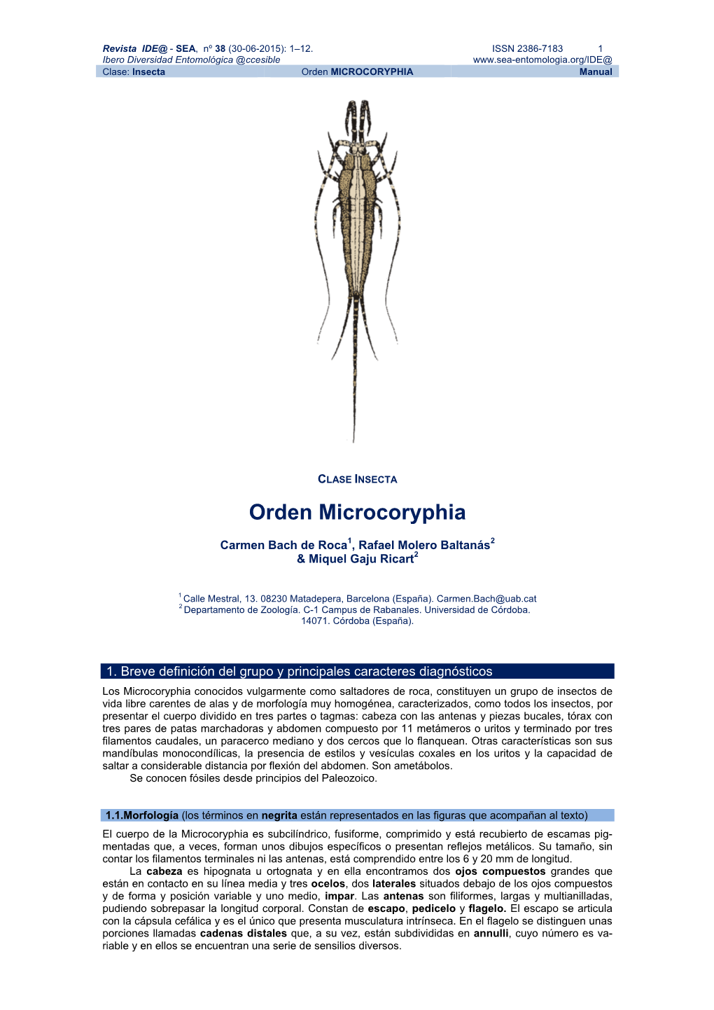 Orden MICROCORYPHIA Manual