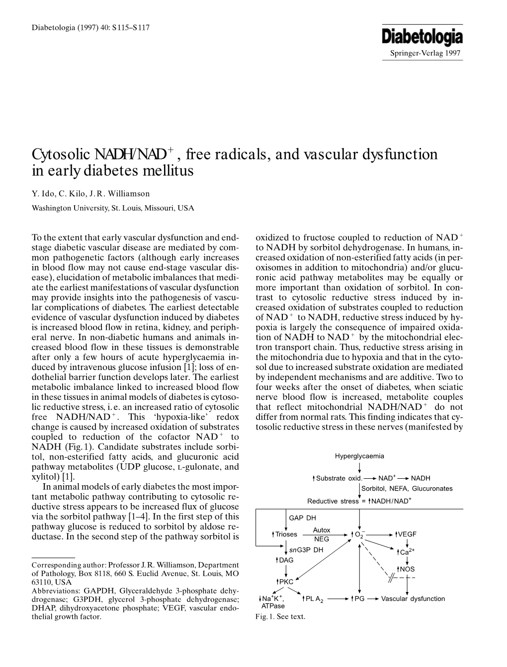 Cytosolic NADH/NAD+ , Free Radicals, and Vascular Dysfunction in Early