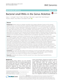 Bacterial Small Rnas in the Genus Rickettsia Casey L