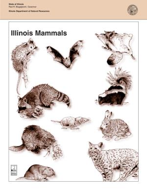 Illinois Mammals What Are Mammals?