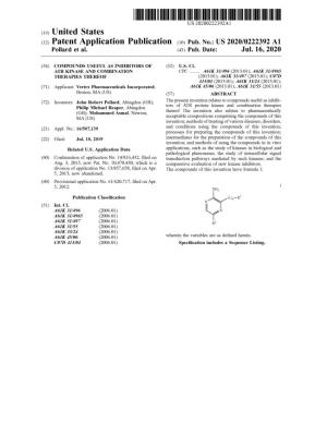 ( 12 ) Patent Application Publication ( 10 ) Pub . No .: US 2020/0222392 A1
