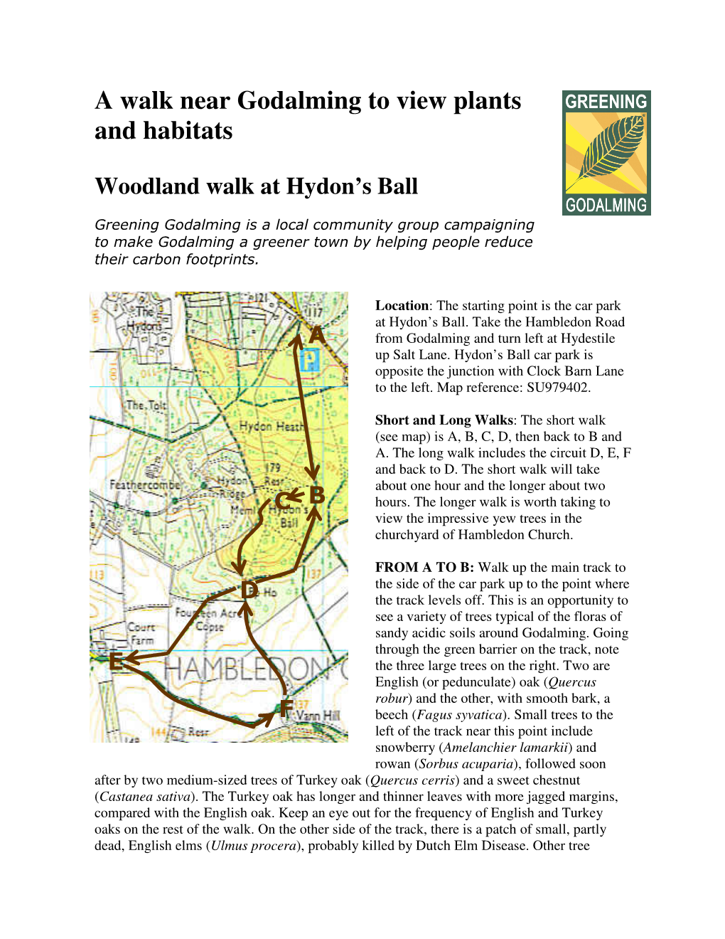 A Walk Near Godalming to View Plants and Habitats