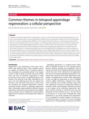 Common Themes in Tetrapod Appendage Regeneration: a Cellular Perspective Bess M