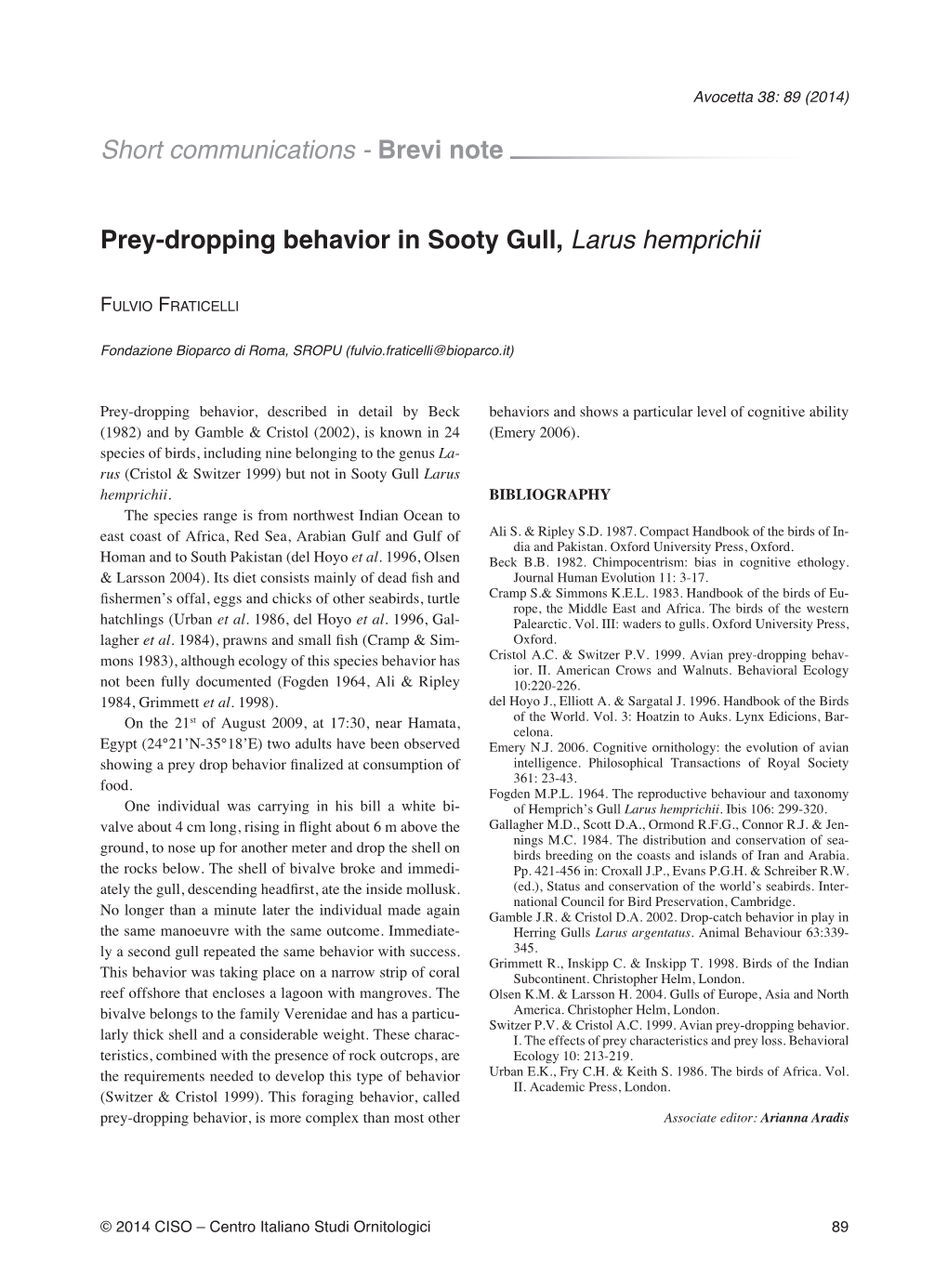 Prey-Dropping Behavior in Sooty Gull, Larus Hemprichii Short
