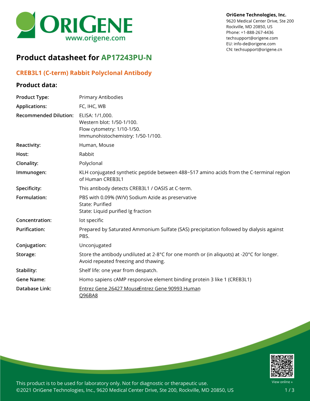 CREB3L1 (C-Term) Rabbit Polyclonal Antibody Product Data