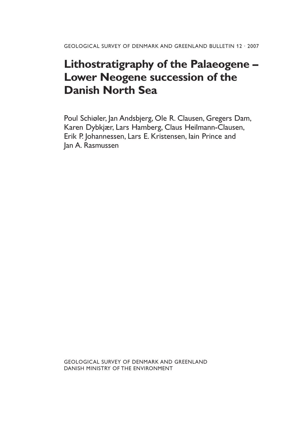 Lithostratigraphy of the Palaeogene–Lower Neogene Succession of The