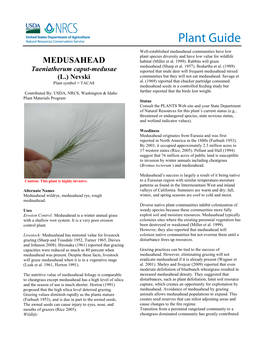 Medusahead (Taeniatherum Caput-Medusae) Plant Guide
