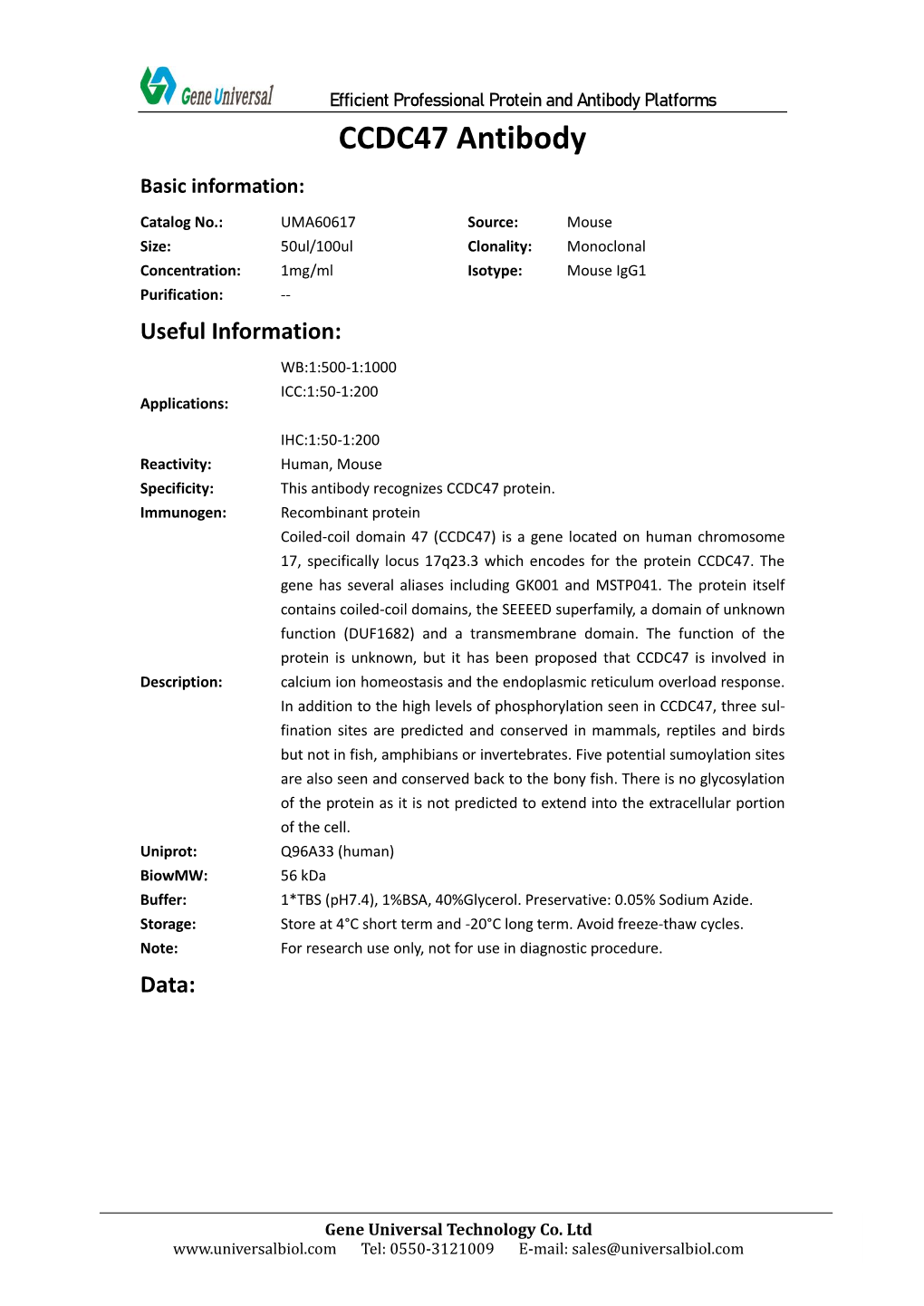 CCDC47 Antibody