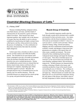 Clostridial (Blackleg) Diseases of Cattle 1