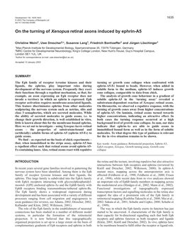 On the Turning of Xenopus Retinal Axons Induced by Ephrin-A5