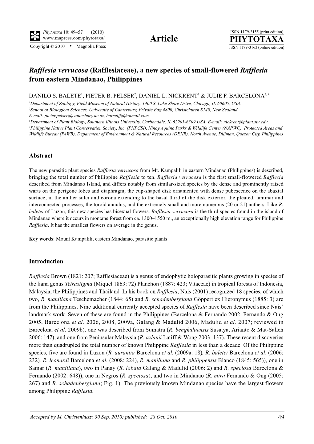 Rafflesia Verrucosa (Rafflesiaceae), a New Species of Small-Flowered Rafflesia from Eastern Mindanao, Philippines