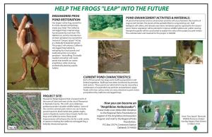 Help the Frogs "Leap" Into the Future