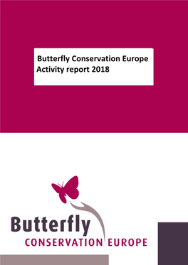 BCE Activity Report 2017
